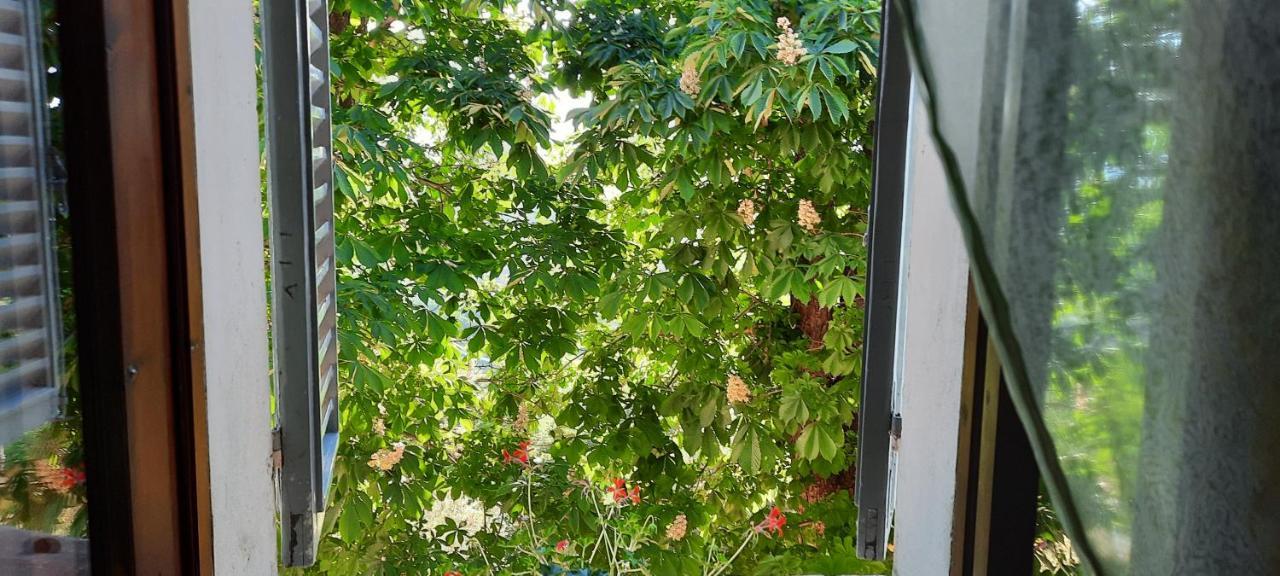 Agriturismo Villino Bellavista สโปเลโต ภายนอก รูปภาพ
